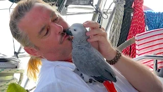 SSL 13 ~ RESCUE MISSION ~ Code Name: ‘TIKI’