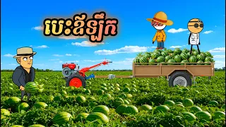 រឿងបងប្អូនភ្លោះ វគ្គ2 ភាគ24