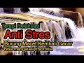 Download Lagu Suara Gemericik #AIR untuk Semua #BURUNG Macet Bunyi dan ORANG susah tidur #TENANG