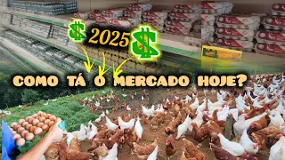 Se você está planejando iniciar uma criação de galinhas em 2025, esse vídeo é para você! 🐓🐓💰💰💲
