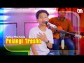 Download Lagu Farel Prayoga - Pelangi Tresno (Official Music Video)