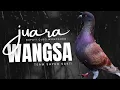 Download Lagu 🔴MENGENAL LEBIH DEKAT WANGSA  TEAM SAYUR SAYKTI JUARA 1 NEW AYLA BUPATI CUP 3 WONOSOBO//PART 1