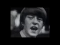 Download Lagu The McCoys - Fever (1966)