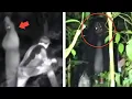 Download Lagu Siapkan Nyali kalian ! 10 Gangguan Hantu Paling Menakutkan Yang Terekam Saat Berburu!