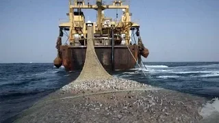 وثائقي أسطول صيد السمك في المغرب موريتانيا وإستغلال الثرواث العربية  وثائقي أسطول صيد السمك في المغرب موريتانيا وإستغلال الثرواث العربية