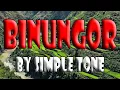 Download Lagu Binungor - Simple Tone
