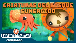 Los Octonautas - 🤿 Criaturas del bosque sumergido 🌱 | Episodios Completos | Compilado