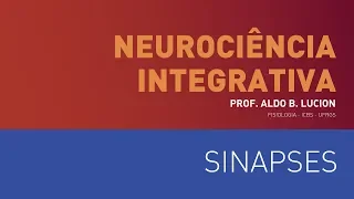 Sinapse – Aula 1