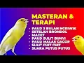 Download Lagu 99% KENARI PENDIAM CEPET BUNYI, PANCINGAN KENARI AGAR CEPET BUNYI 2