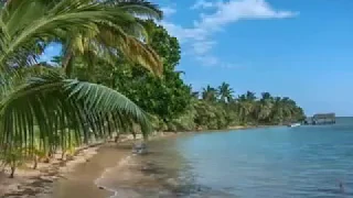 موسيقى ابراهيم تاتلس الجميع يبحث عنها  ليلم لي حزين اسعدني بشتراك   دندنها