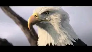 فلم اكشن مع اغنيه حماسيه دندنها
