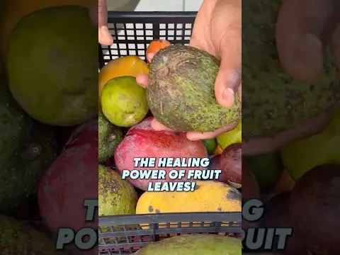 The Healing Power Of Fruit Leaves!