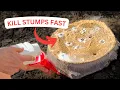 How to Kill a Tree Stump FAST with Stump Remover No Grinder Needed DIY Potassium Nitrate
