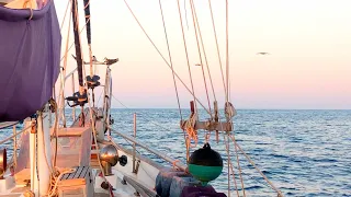 Ep 318 | NO WIND on 8-Day PASSAGE from Rowley Shoals to Darwin, Sailing Nutshell