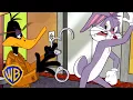 Download Lagu Looney Tunes em Português 🇧🇷 | Steve St. James tenta prender Pernalonga | @WBKidsBrasil