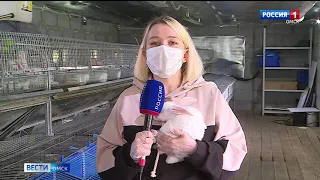 В Любинском районе наращивает обьёмы кролиководческая ферма