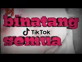 Lagu DJ ODADING MANG OLEH X BINATANG SEMUA || VIRAL TIKTOK TERBARU 2021