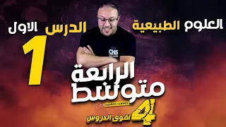 الهضم تحولات الاغذية خلال الهضم اقوى درس للسنة الرابعة متوسط 