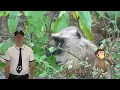 Zoo Animals | Blippi | Kids Learning Videos | Nursery Rhymes | ABCs And 123s