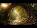Indian Deep House Mix | Secret Rainforest Roads