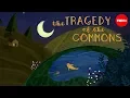 Download Lagu What is the tragedy of the commons? - Nicholas Amendolare