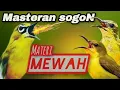 Download Lagu MASTERAN SOGON📍MATERI ZIPPER ISIAN MEWAH MASSA KINI,Jeda Mudah Masuk.