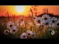 Bryan Adams - Heaven (Lyrics)