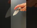SPK Lamia on bearings The Detent test