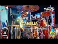 Download Lagu CAMELIA - CAK MET AGENG MUSIK ALUN-ALUN MADIUN EXPO