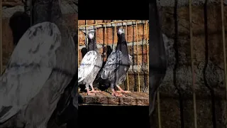 ١٦ أكتوبر ٢٠٢٥ 