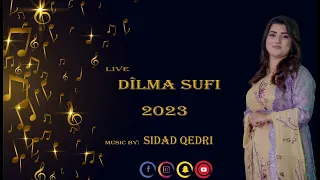 ديلما صوفي   ميكس بلدي                دندنها