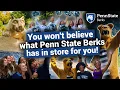 There are tons of great reasons to choose Penn State Berks What s yours