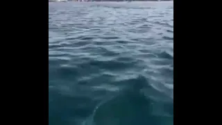 ميناء العقبة 