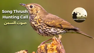 احلى صوت سمن للصيد صوت جديد مجر ب وفع ال Song Thrush Hunting Call 