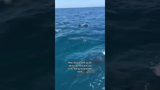 Day 82 living on a sailboat ⛵️ #sailboatlife #travel #sailing