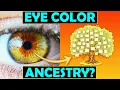 Download Lagu The Hidden Links Between Eye Color \u0026 Ancestry… Hazel, Blue, Brown etc.