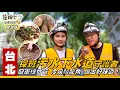 Lagu 《詹姆士出走料理》台北｜探班「污水下水道守護者」！三峽鱘龍魚肉質極佳，藥膳食療的上等食材！「冠軍綠竹筍」口感爽脆細緻 富含纖維！老詹「油潑鱘龍魚片」產地新鮮上桌！-第335集-2025/11/23