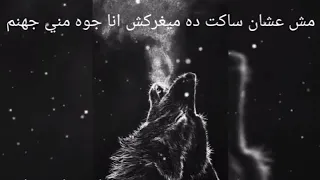 وجلال الله أنا فيا تعب يكفي بلد واكتر  عم ار حسني  دندنها