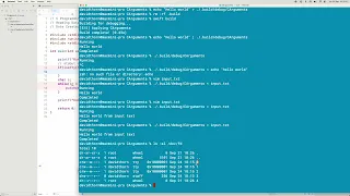 C Programming - Reading Data From stdin