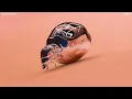 Golden Features - Butch (Visualiser)