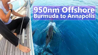 Ep 123 950nm of Open Ocean Sailing – Bermuda to Annapolis