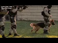 Download Lagu Serbian Special Forces \