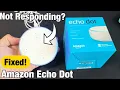 Echo Dot Not Responding Frozen or Not Working FIXED