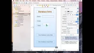 Learn iOS Objective-C Module 10 - Introduction to Databases