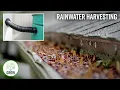 Installing a Rain Barrel Diverter Kit