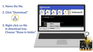 Flashing a File to the micro bit