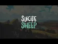 Catching Flies - Care 4 U