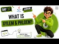 What is Exception in Java try-catch-finally Explained Tamil Day 37