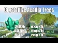 Runescape 3 Crystallize Acadia Trees Guide Menaphos Woodcutting 260k 5 7k