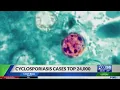 FDA chief Cyclospora effectively removed from the market
